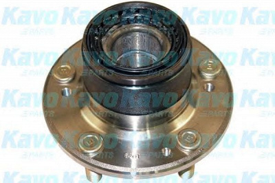 KAVO PARTS wbh5501 -  Комплект подшипника ступицы колеса
